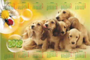 Календарь 2012 (Продается)