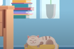 Анимационный ролик