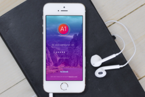 Презентация интерфейса программы на носителе