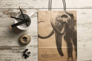 Ребрендинг Зоологисекого музея РАН (дипломный проект)