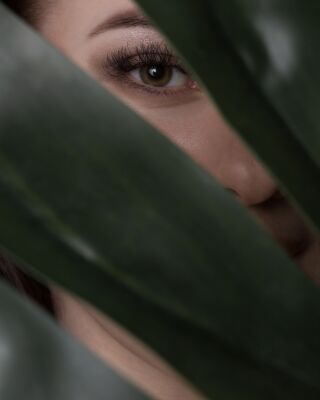 img3950382.png