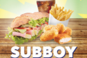 Работа 2953376