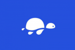 Черепаха клип арт