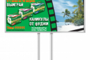 Баннер 3х6(Fuji)