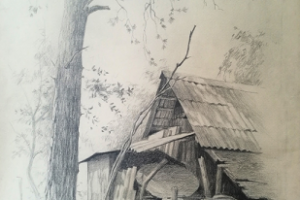 пленэр. рисунки с натуры