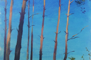 пленэр. этюды c натуры