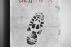 Работа 2269856