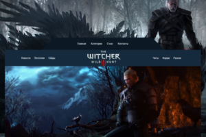 фан сообщество The Witcher