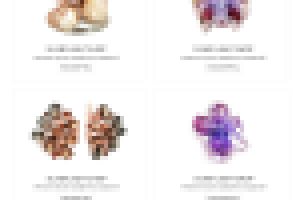 Дизайн сайта Магазин ювелирных украшений