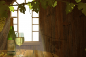 Графика для презентационного фильма СОЮЗ-ВИНО (Фрагмент)