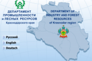 Мультимедиа презентация для Департамента промышленности и лесных