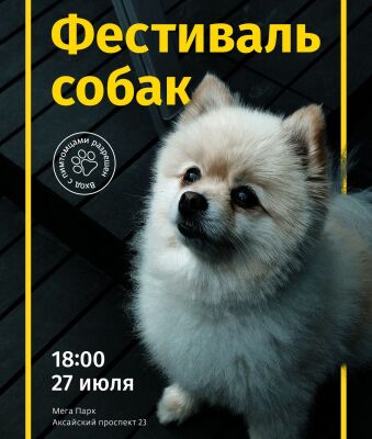 img3933903.png