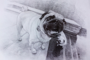 Работа 3792490