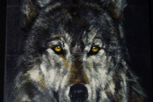 Работа 3792485