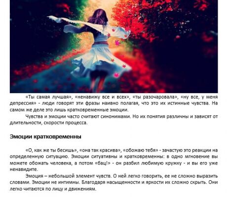 img3263905.png