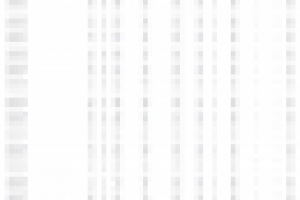 Статистики рекламной компании по ремонту iPhone 6 за квартал