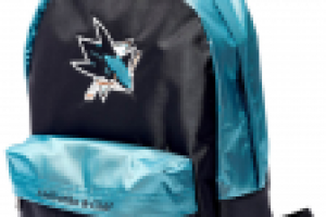 Описание раздела "Рюкзаки" для ИМ Atributika&Club