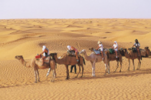 Тунис мусульманское государство с европейским характером