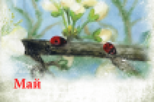 Страница календаря 2 (акварель, печать)