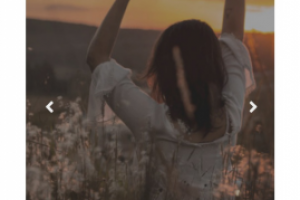 SEO статьи EcoCamp