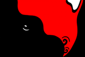 Консультация по оптимизации сайта Red Cat Tattoo & Art Studio