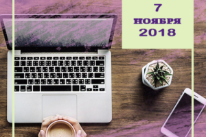 Работа 3550557