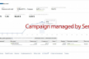 Настройка кампании в Яндекс.Директ