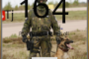 Виджет под Андроид для Финской армии