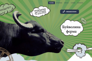 Буйволиная ферма