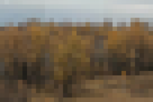 Панорама природы Сибири =)