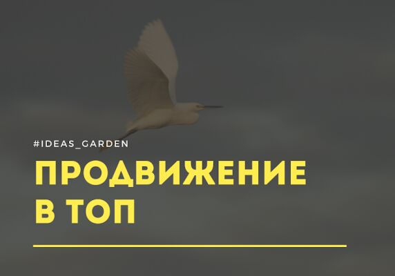 img3704130.png