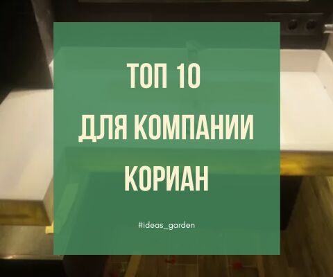 img3698016.png