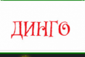 SEO аудит сайта dingodog.su