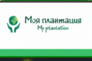 Продвижение сайта в ТОП по Москве