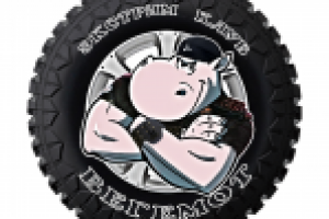 Работа 1604666