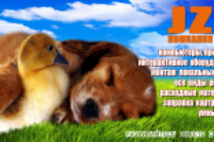 Работа 1604859