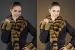 Работа 1619079