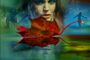 Работа 1604862