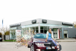 Работа 1604608