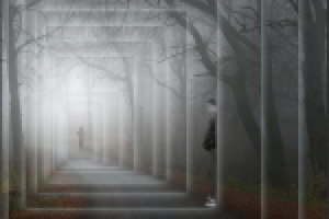 Работа 1604879