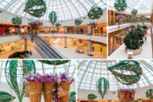 Деокр в ТЦ "Рио"