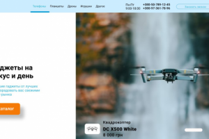 Интернет-магазин "Гаджитариум"