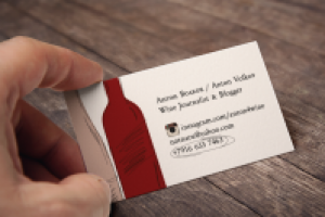 Антон Волков, блоггер