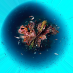 Tiny planet
