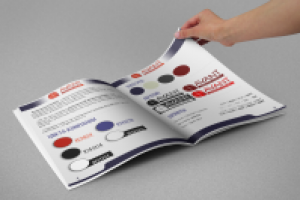 Маркетинговая компания "AVANT" (Маркетинг-кит)3