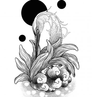 img3874144.png