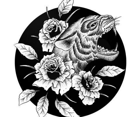 img3874135.png