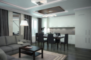 гостиная и кухня