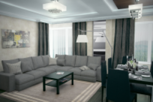 гостинаяи кухня