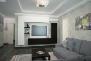 гостиная и кухня